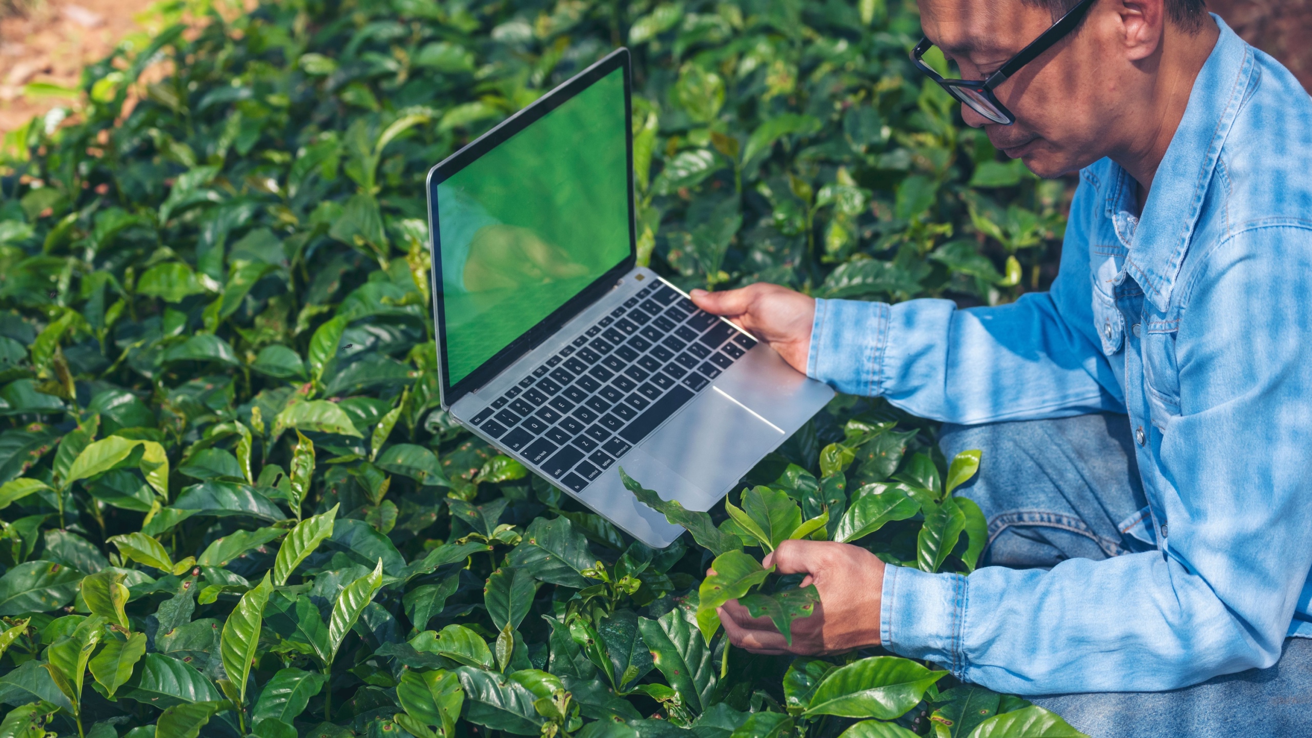 Khoa học hỗ trợ